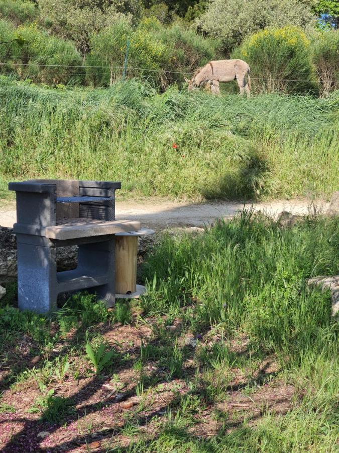 Bastide Bellugue Maison D'Hotes Reseau Bienvenue A La Ferme A 3 Minutes De Lourmarin カドネ エクステリア 写真