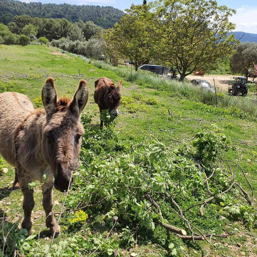 Bastide Bellugue Maison D'Hotes Reseau Bienvenue A La Ferme A 3 Minutes De Lourmarin カドネ エクステリア 写真