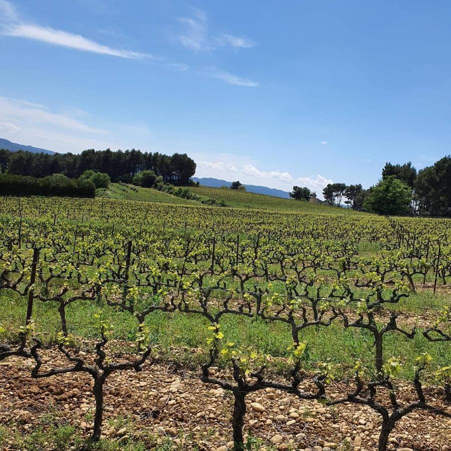 Bastide Bellugue Maison D'Hotes Reseau Bienvenue A La Ferme A 3 Minutes De Lourmarin カドネ エクステリア 写真