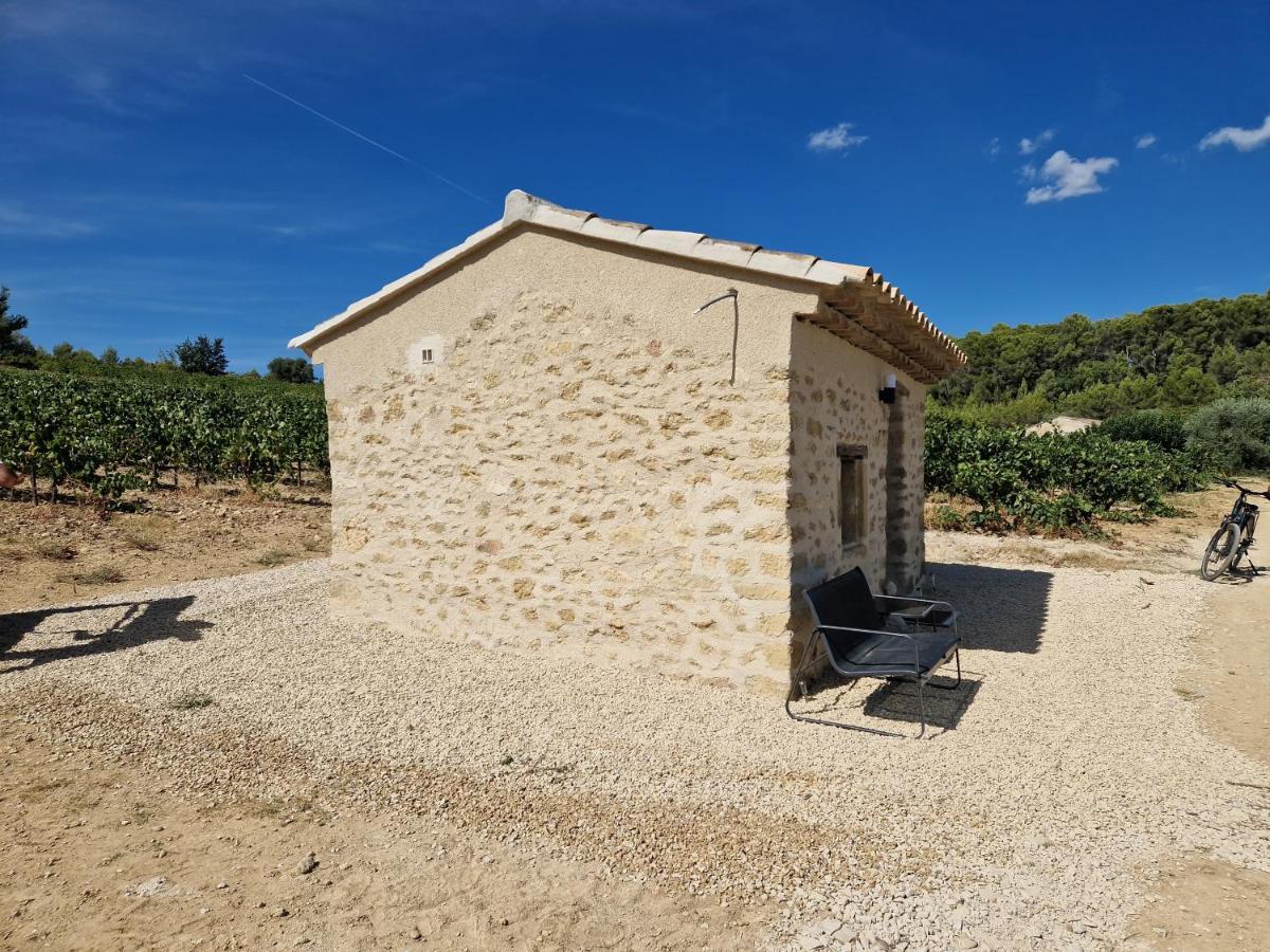 Bastide Bellugue Maison D'Hotes Reseau Bienvenue A La Ferme A 3 Minutes De Lourmarin カドネ エクステリア 写真