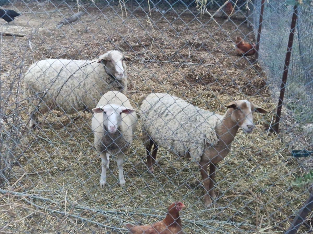 Bastide Bellugue Maison D'Hotes Reseau Bienvenue A La Ferme A 3 Minutes De Lourmarin カドネ エクステリア 写真