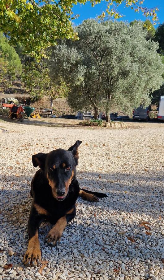 Bastide Bellugue Maison D'Hotes Reseau Bienvenue A La Ferme A 3 Minutes De Lourmarin カドネ エクステリア 写真