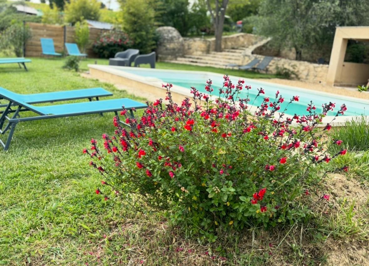 Bastide Bellugue Maison D'Hotes Reseau Bienvenue A La Ferme A 3 Minutes De Lourmarin カドネ エクステリア 写真