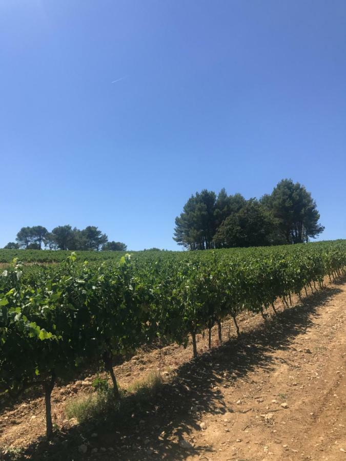 Bastide Bellugue Maison D'Hotes Reseau Bienvenue A La Ferme A 3 Minutes De Lourmarin カドネ エクステリア 写真