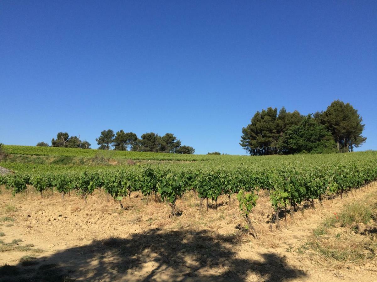 Bastide Bellugue Maison D'Hotes Reseau Bienvenue A La Ferme A 3 Minutes De Lourmarin カドネ エクステリア 写真