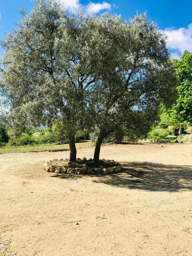 Bastide Bellugue Maison D'Hotes Reseau Bienvenue A La Ferme A 3 Minutes De Lourmarin カドネ エクステリア 写真